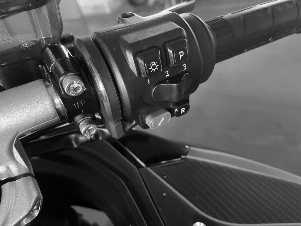 LEKI Electric Motorbike E1 10KW MY26.5